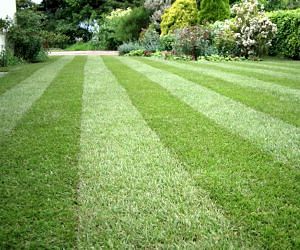 Lawn Care Snow Removal Jeremy S Lawn Care Snow Removal