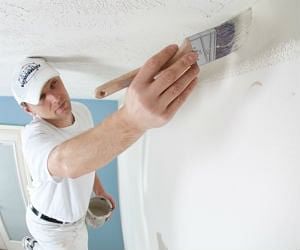 insurance for painters florida temporary