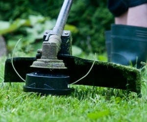 Weed Whacking Weed Whacking